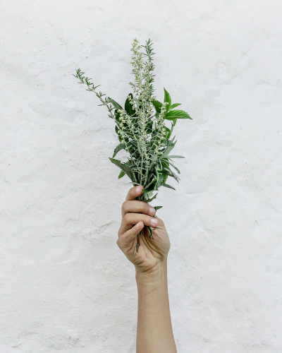 Herbs- Get growing and get the drinks flowing