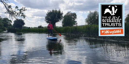 Wild Clouds Planet Friendly Ideas - 30 days Wild