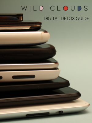 Wild Cloud’s Digital Detox Guide