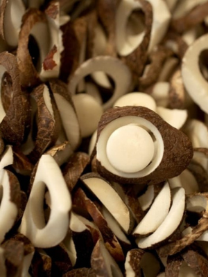 Why we’re nuts about Courtney & Co