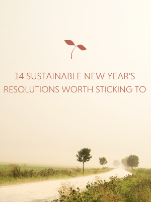 14 Sustainable New Year’s Resolutions Worth Sticking To